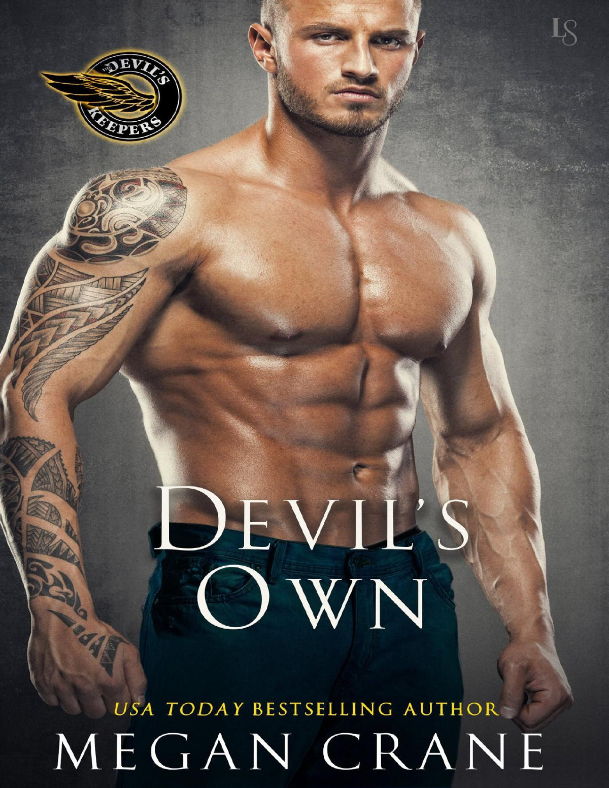 Devils Own Megan Crane