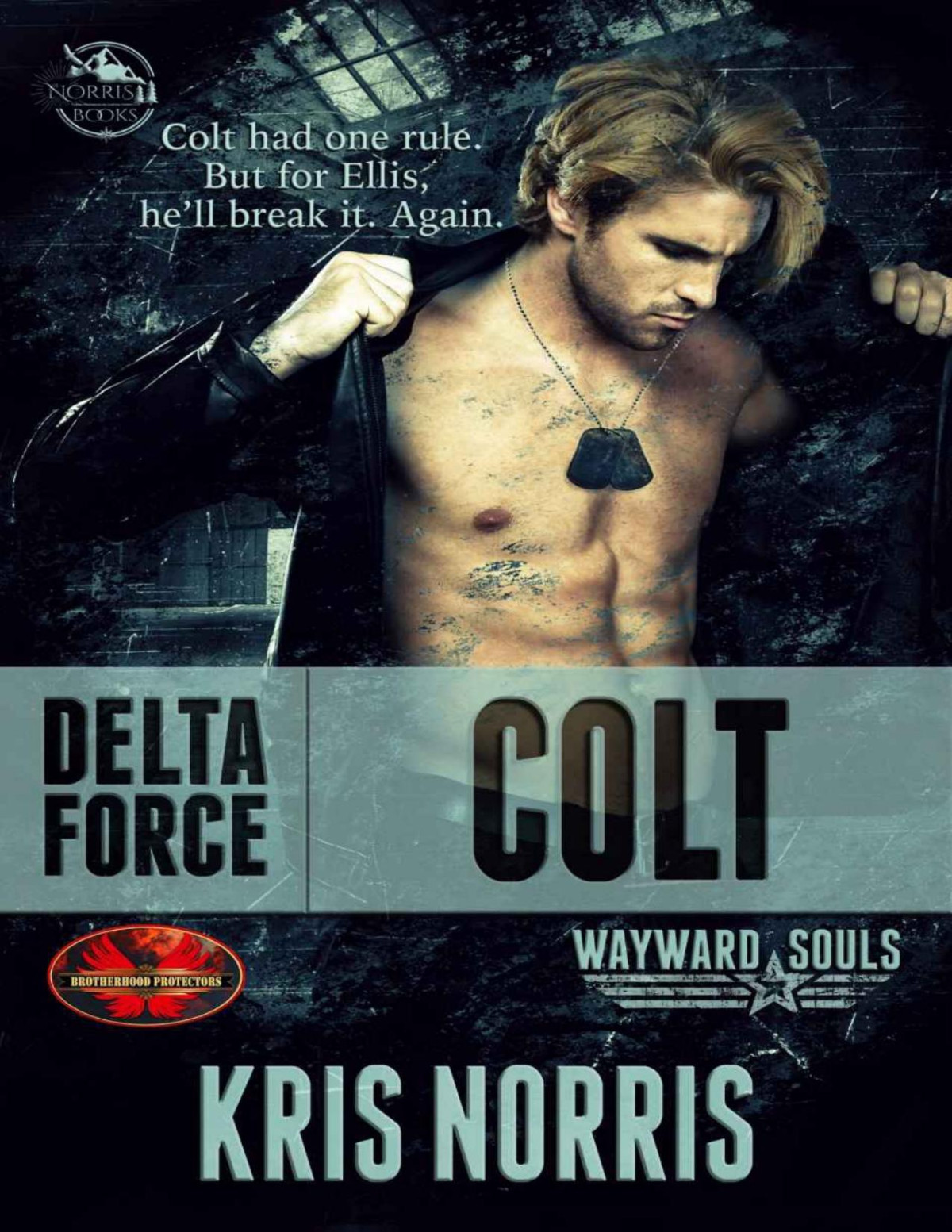 Delta Force Colt Brotherhood Protectors Worldwayward Souls Crossover Kris Norris Brotherhood Protectors World Norris