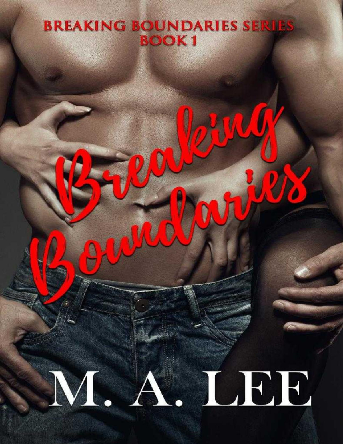 Breaking Boundaries The Breaking Boundaries Series Book 1 M A Lee Lee