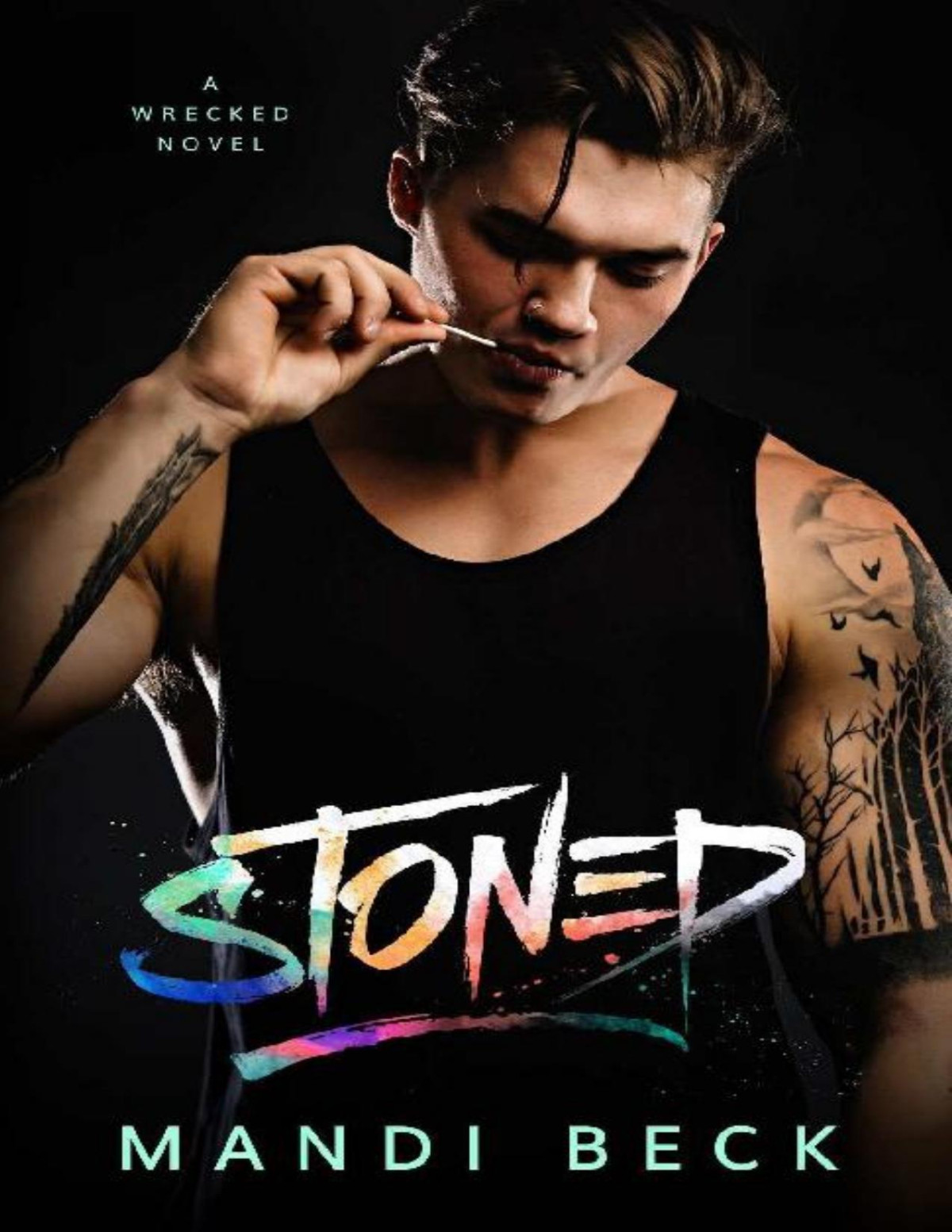 Stoned Wrecked Book 1 Mandi Beck Beck Mandi