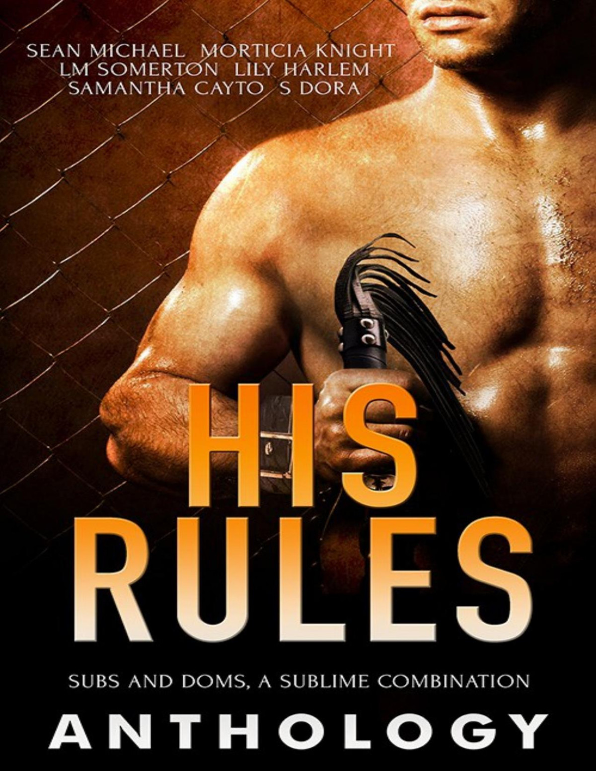 His Rules Sean Michael Morticia Knight Lm Somerton Lily Harlem