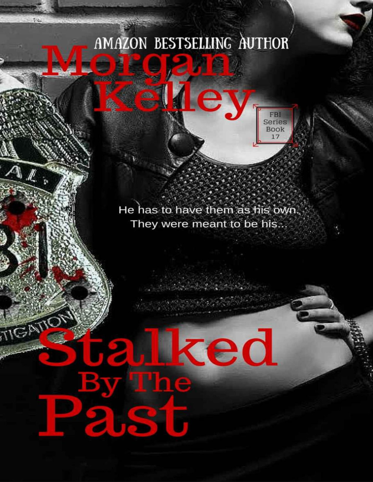 Stalked By The Past An Fbi Flashback Novel An Fbi Romance Thriller Book 17 Morgan Kelley Kelley