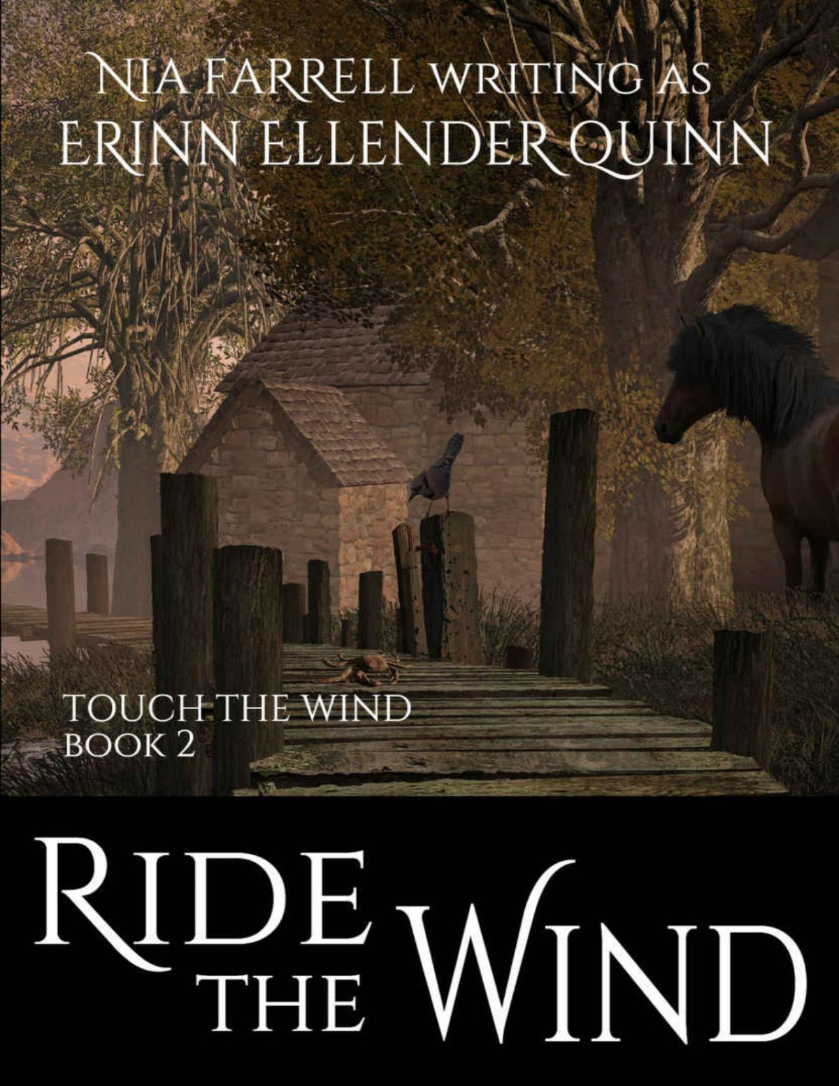 Ride The Wind Touch The Wind Book Two Erinn Ellender Quinn Quinn