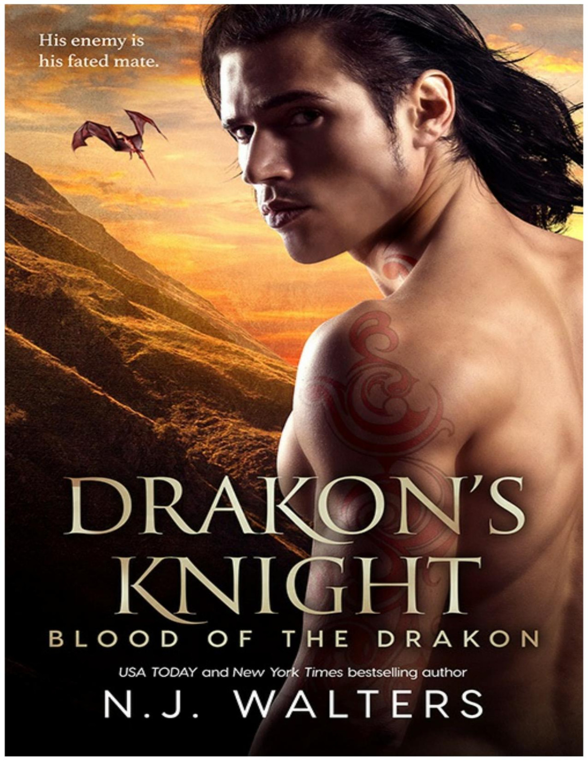 Drakons Knight Blood Of The Drakon Nj Walters