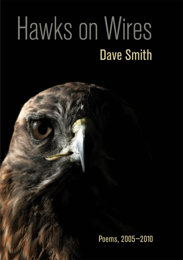 Hawks On Wires Dave Smith