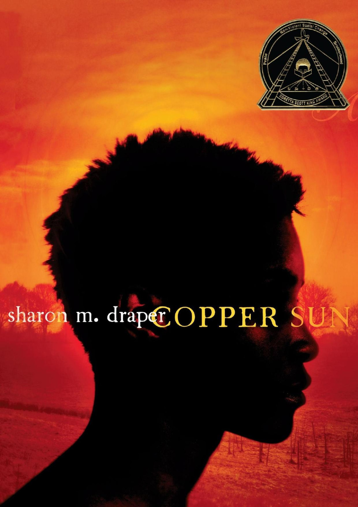 Copper Sun Sharon M Draper Draper Sharon M