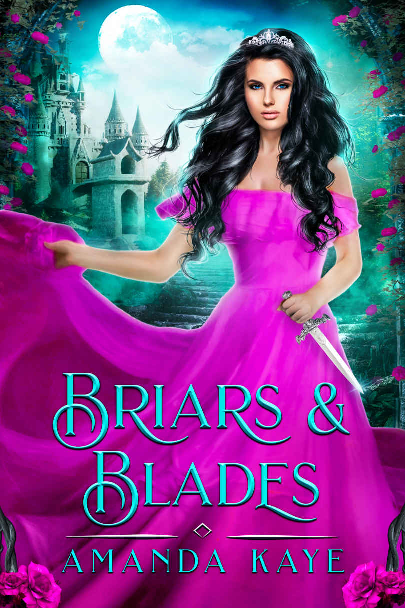 Briars Blades A Sleeping Beauty Fairy Tale Retelling Amanda Kaye Kaye