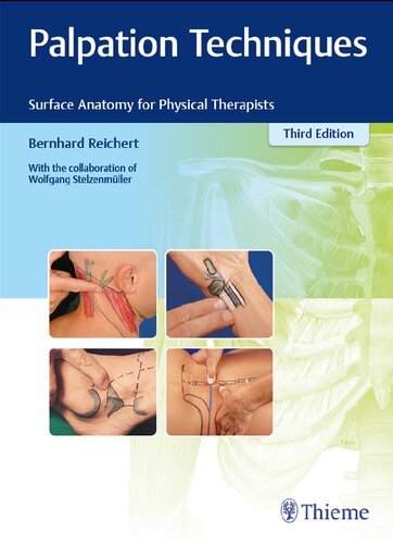 Palpation Techniques Surface Anatomy For Physical Therapists Third Edition Bernhard Reichert Wolfgang Stelzenmueller Karen Leube