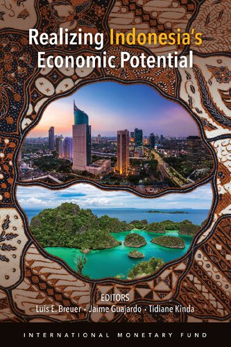 Realizing Indonesias Economic Potential Illustrated Jaime Guajardo Editor Tidiane Kinda Editor Luis E Breuer Editor