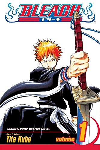 Bleach Vol 1 10th Tite Kubo