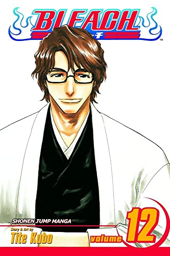 Bleach Volume 12 Tite Kubo