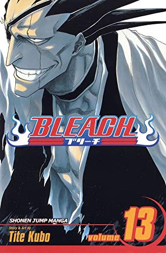 Bleach Volume 13 Tite Kubo