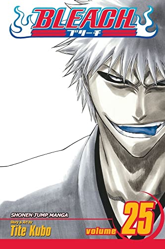 Bleach Volume 25 Tite Kubo