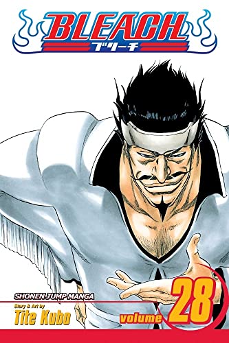 Bleach Volume 28 Tite Kubo