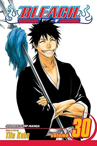 Bleach Volume 30 Tite Kubo