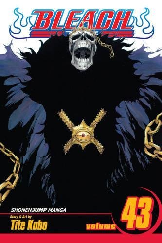 Bleach Vol 43 Tite Kubo