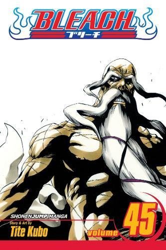 Bleach Volume 45 Tite Kubo
