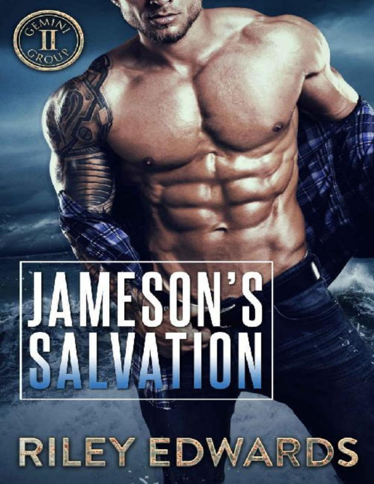 Jamesons Salvation Gemini Group Book 2 Riley Edwards Edwards