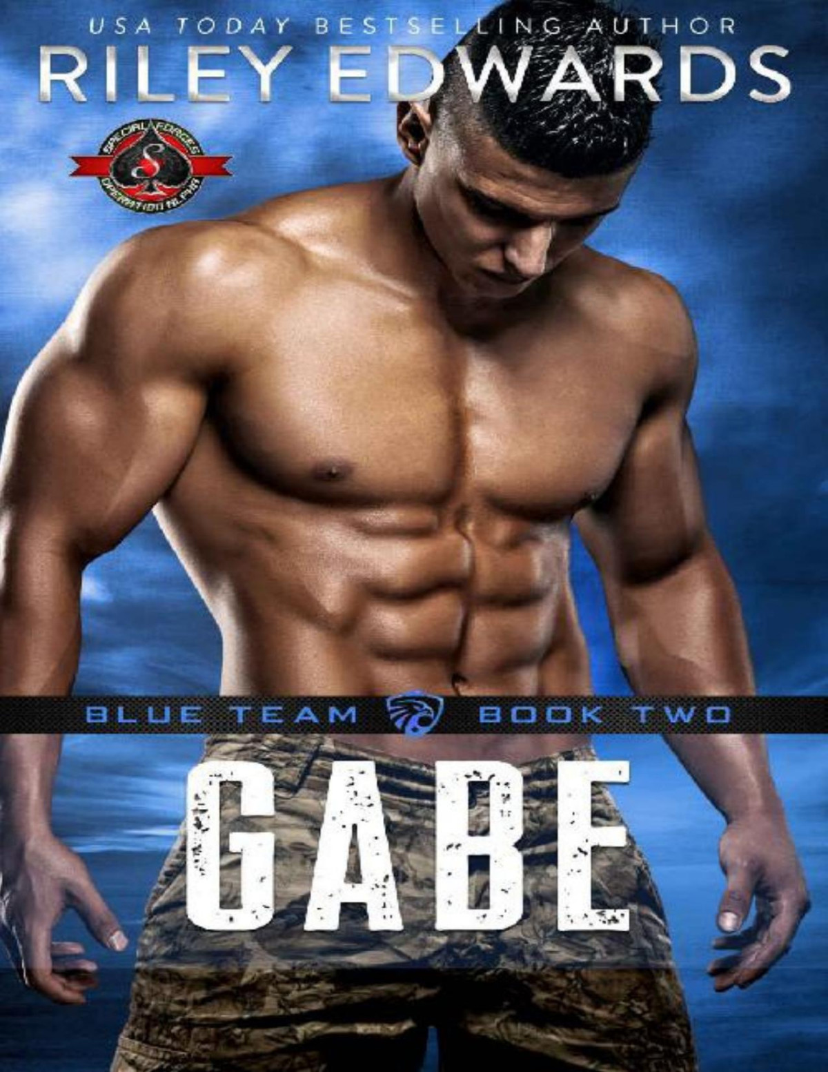 Gabe Special Forces Operation Alpha Blue Team Book 2 Riley Edwards Operation Alpha Edwards