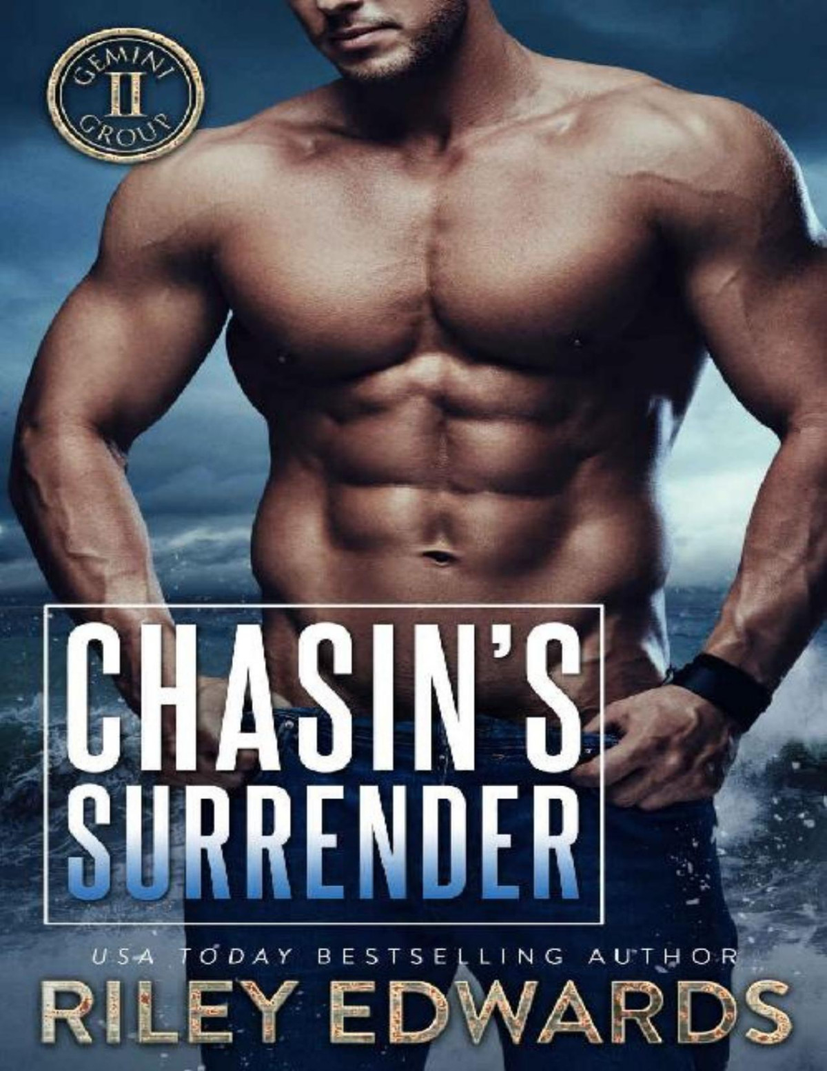 Chasins Surrender Gemini Group Book 5 Riley Edwards Edwards