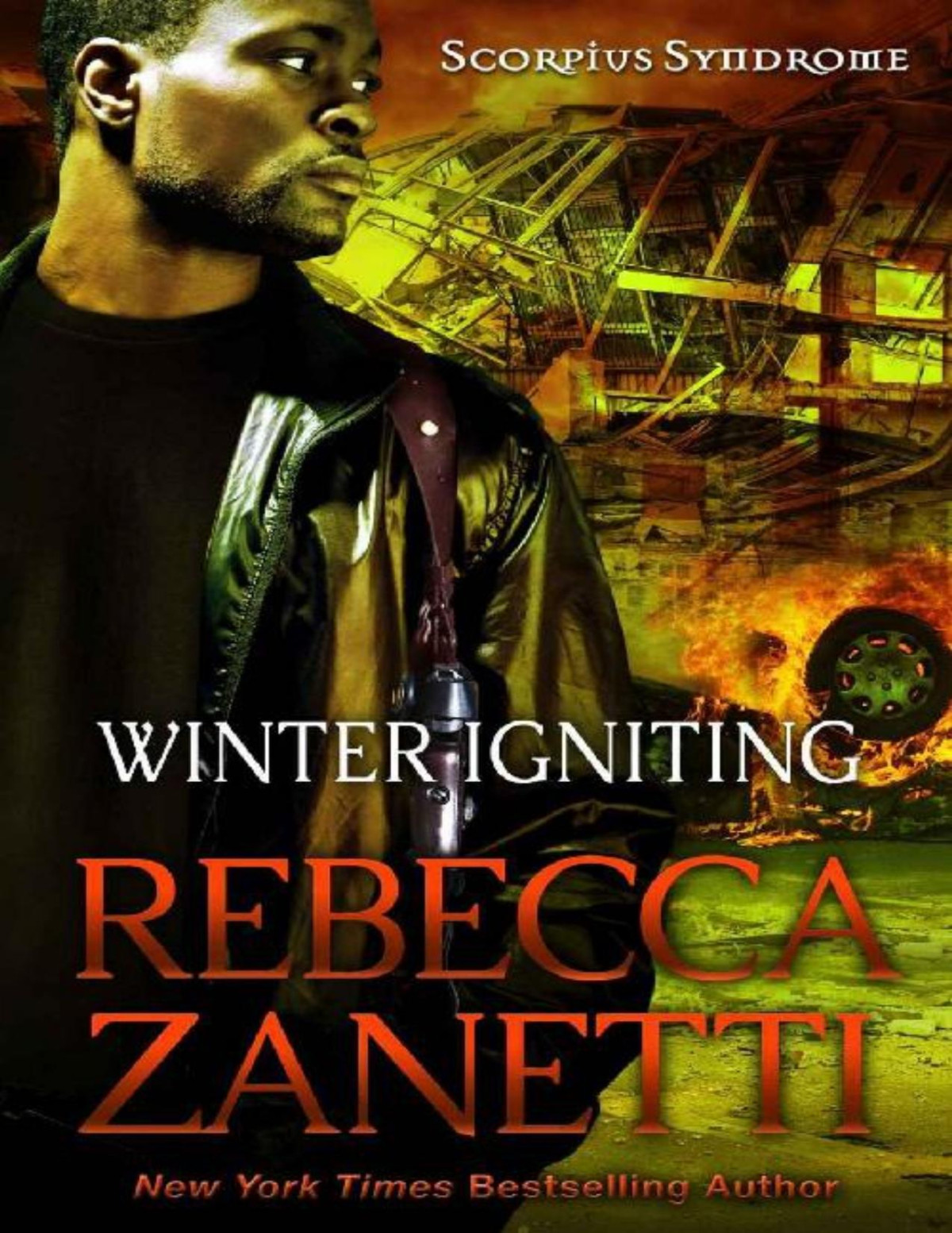 Winter Igniting Rebecca Zanetti Zanetti Rebecca