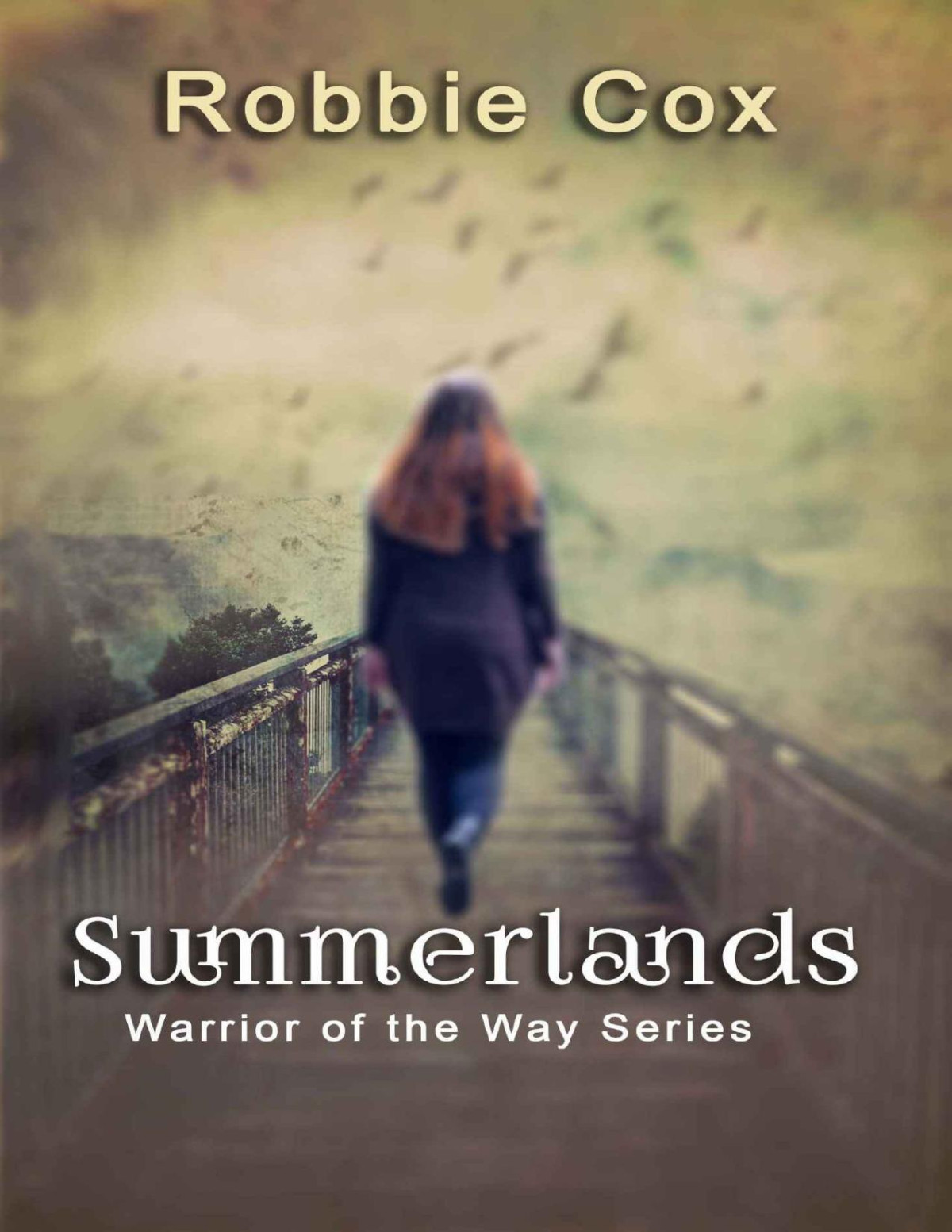 Summerlands An Urban Fantasy Warrior Of The Way Book 4 Robbie Cox Cox