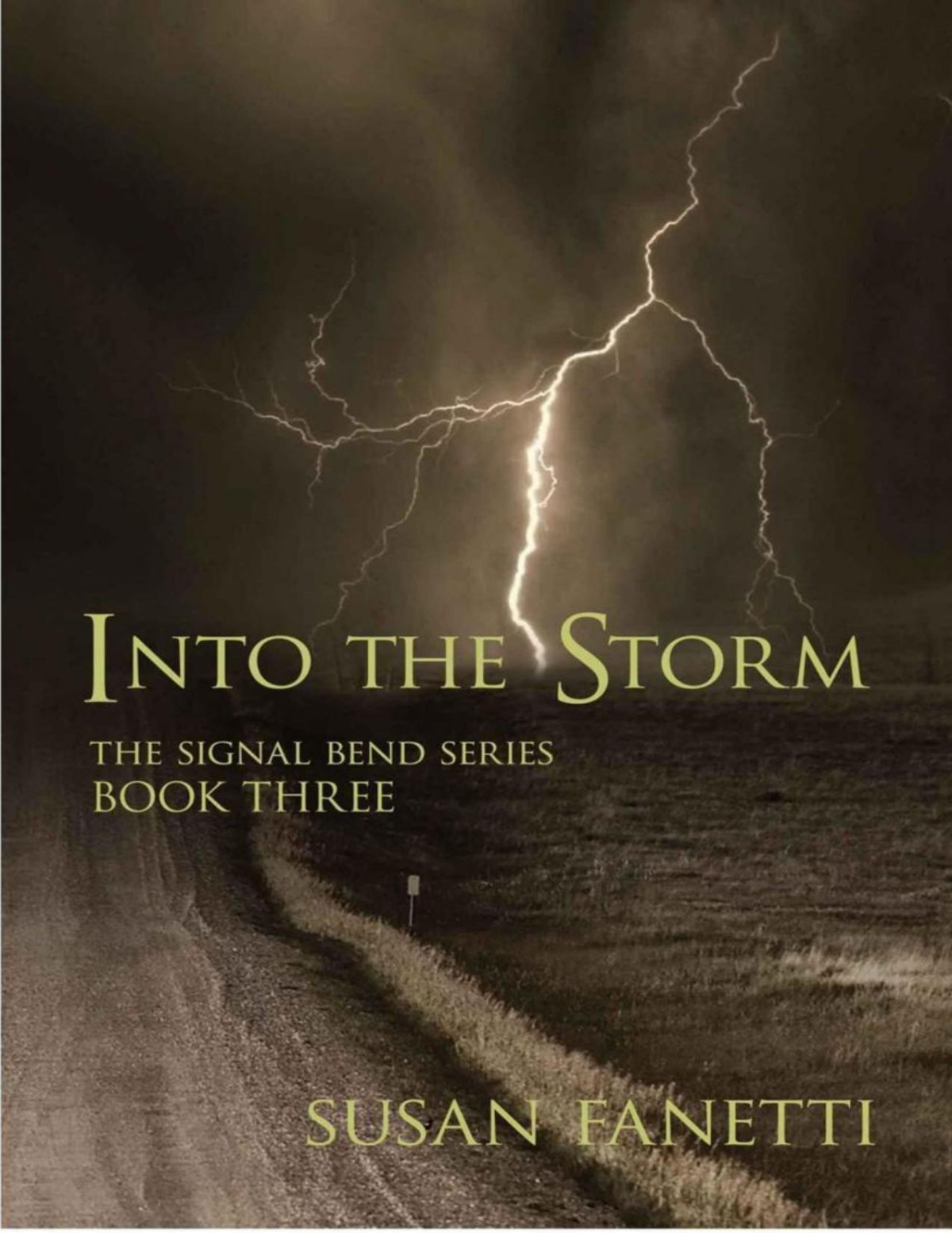 Into The Storm Susan Fanetti