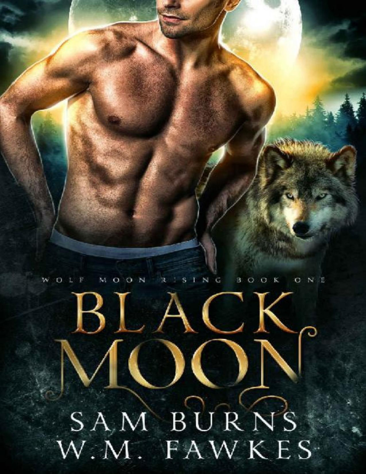 Black Moon Wolf Moon Rising Book 1 Sam Burns Wm Fawkes Burns