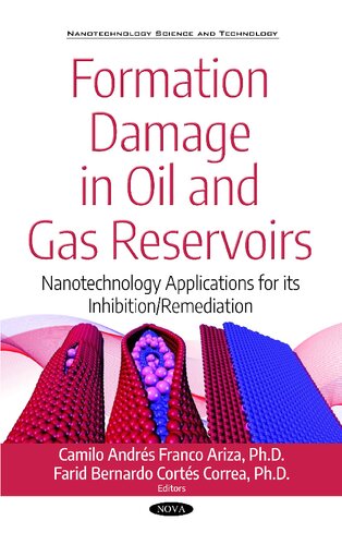 Formation Damage In Oil And Gas Reservoirs Nanotechnology Applications For Its Inhibitionremediation Nanotechnology Science And Technology Technologies Regulations And Safety Camilo Andrs Franco Ariza Editor