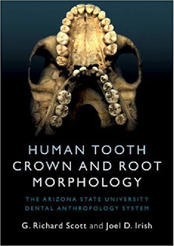 Human Tooth Crown And Root Morphology The Arizona State University Dental Anthropology System Illustrated G Richard Scott