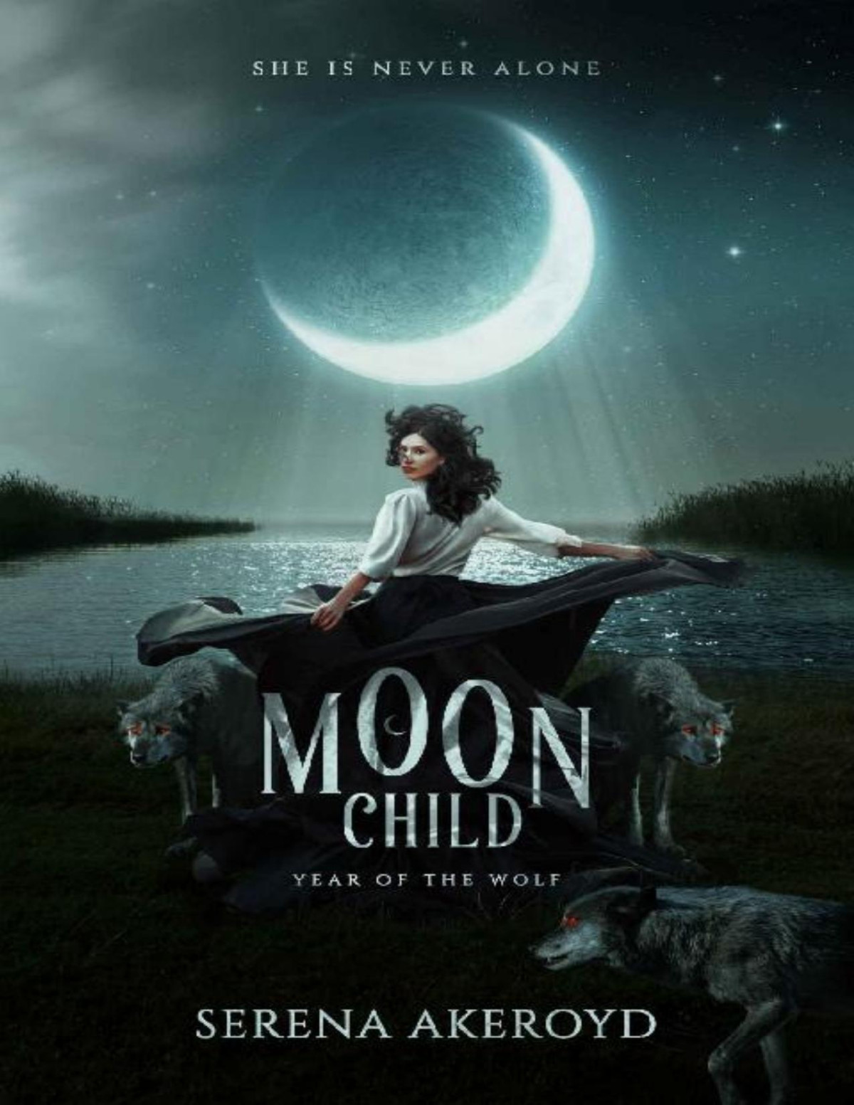 Moon Child A Pnr Shifter Romance The Year Of The Wolf Book 2 Serena Akeroyd Akeroyd
