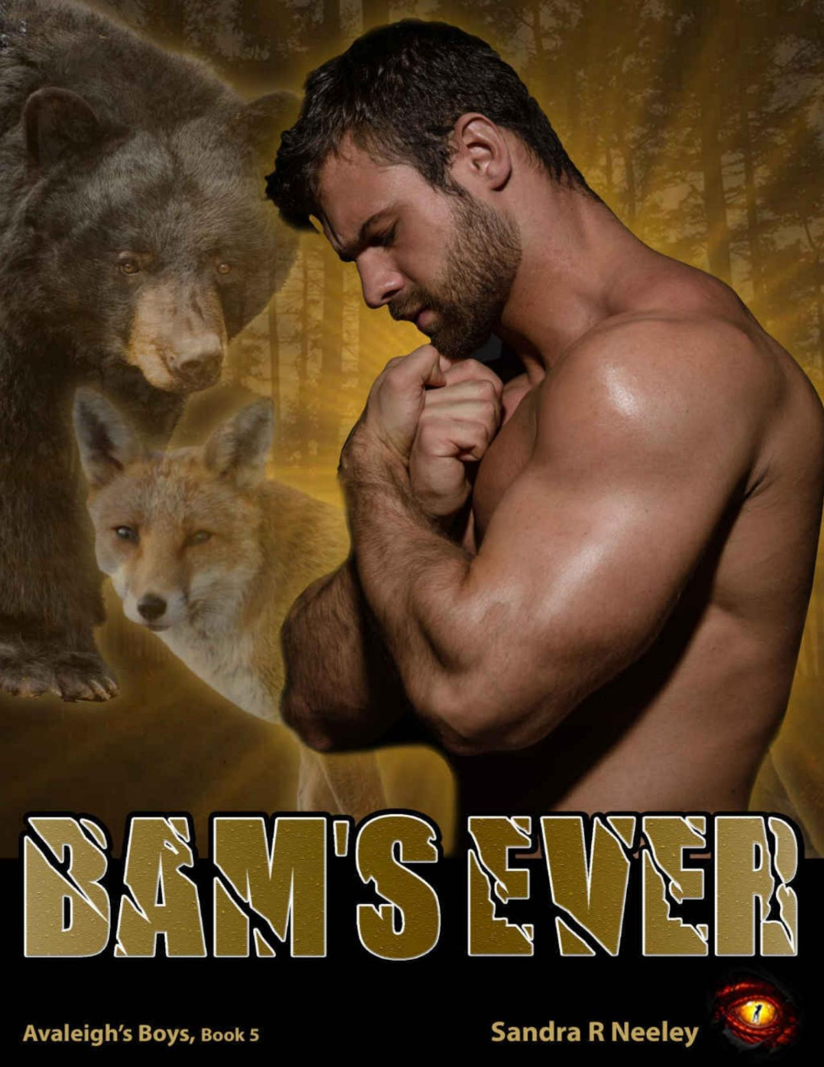 Bams Ever Avaleighs Boys Book 5 Sandra R Neeley Neeley Sandra R