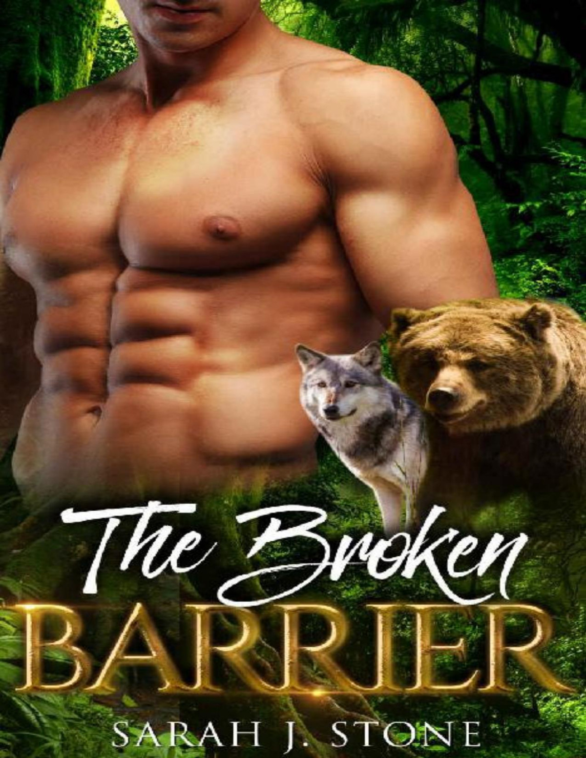 The Broken Barrier Shadow Claw Book 4 Sarah J Stone J Stone