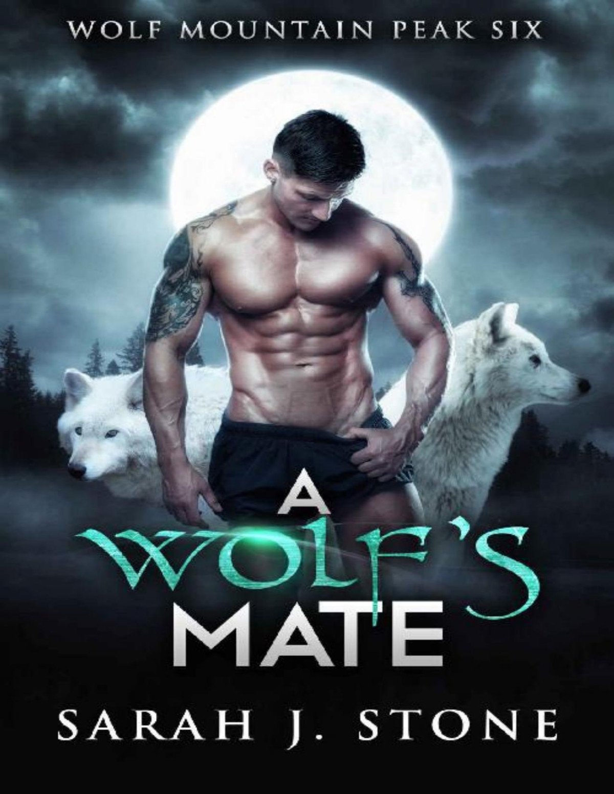 A Wolfs Mate Wolf Mountain Peak Book 6 Sarah J Stone J Stone