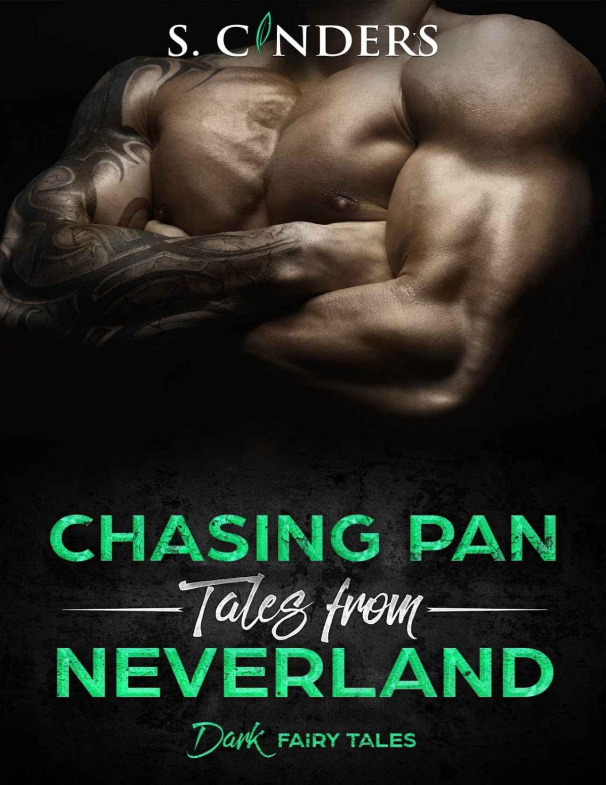 Chasing Pan Tales From Neverland Dark Fairy Tales Book 3 S Cinders Cinders