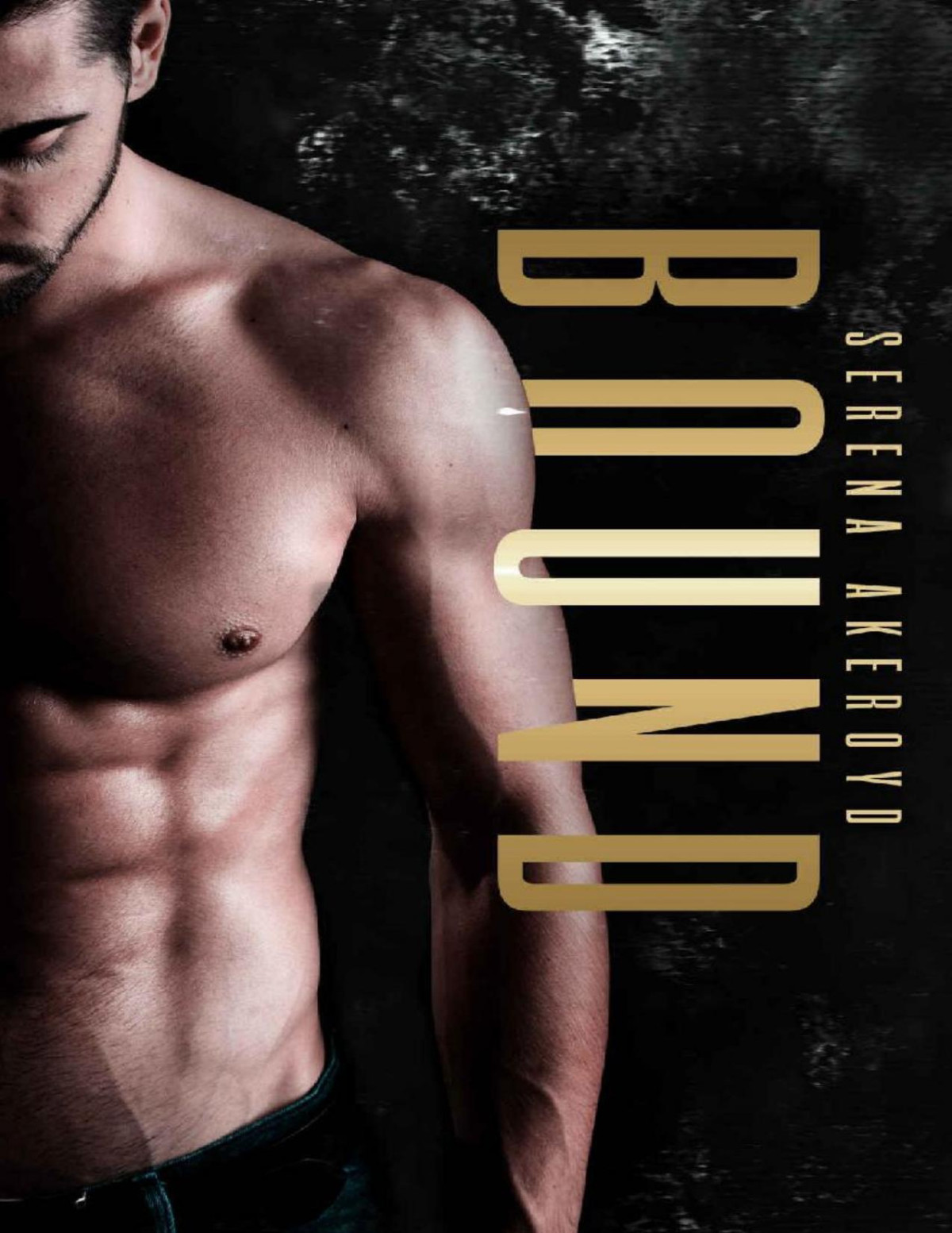Bound A Dark Mafia Enemiestolovers Mf Romance Serena Akeroyd Akeroyd