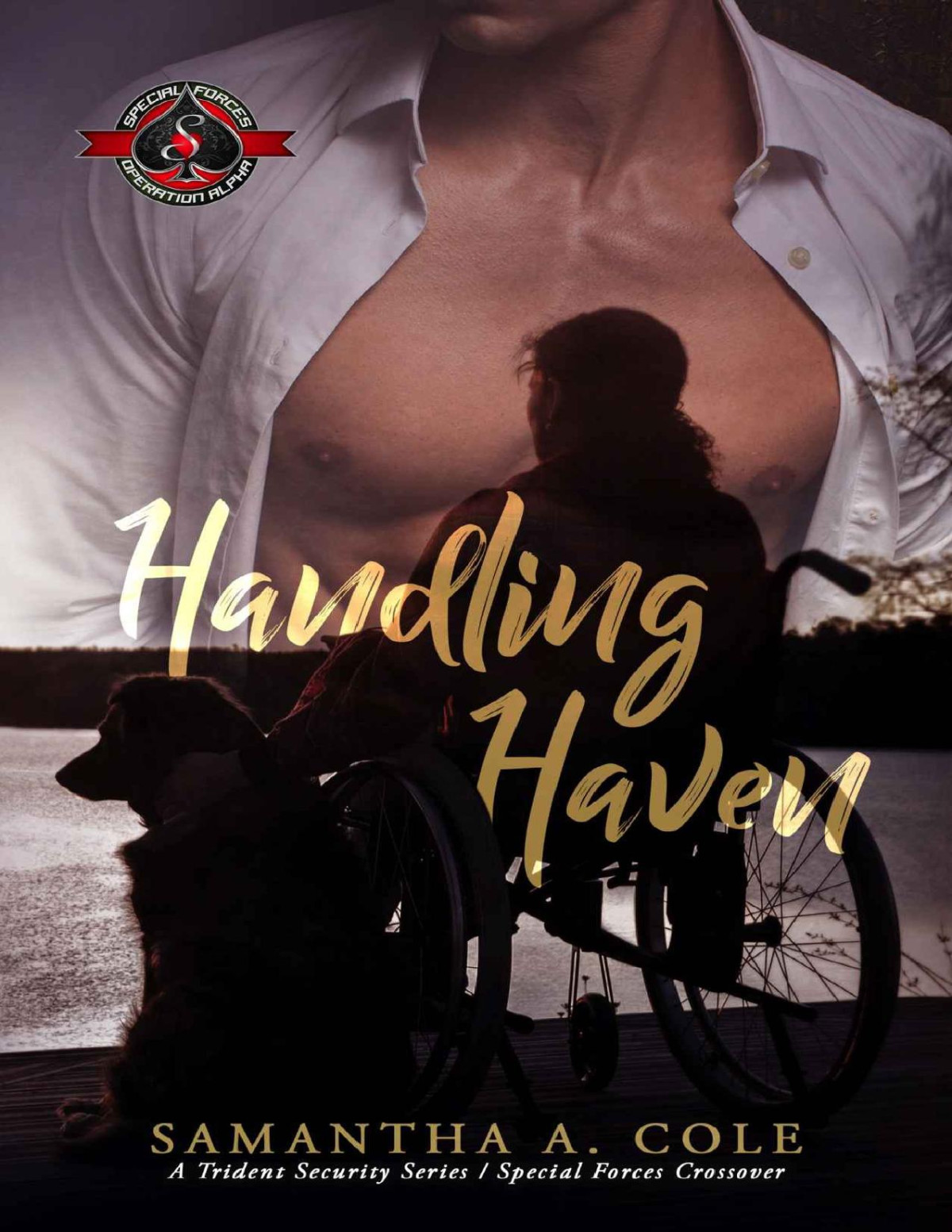 Handling Haven Special Forces Operation Alpha A Deimostrident Securitydelta Force Team Crossover Deimos Book 1 Samantha A Cole Operation Alpha Cole