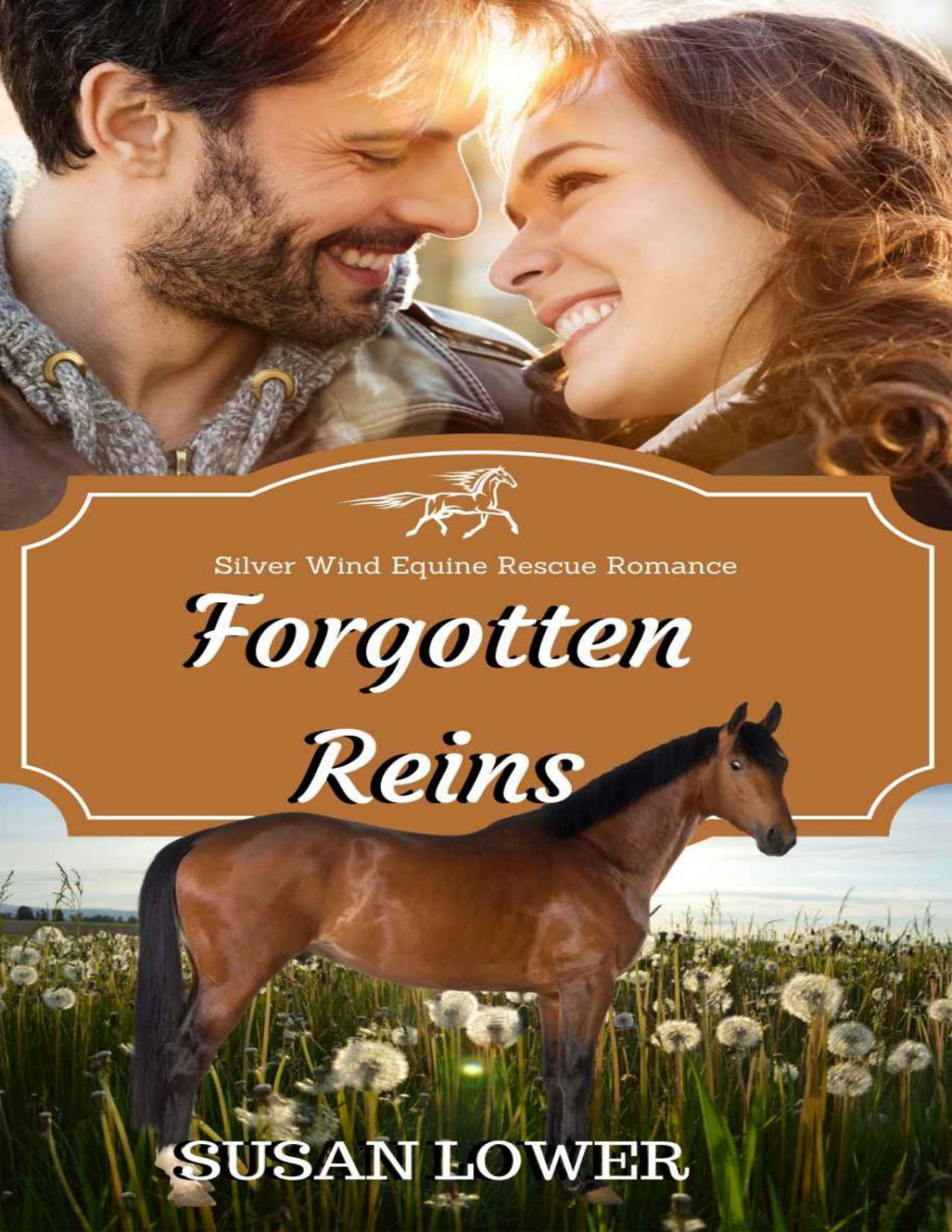Forgotten Reins Silver Wind Equine Rescue Romance Book 1 Susan Lower Lower