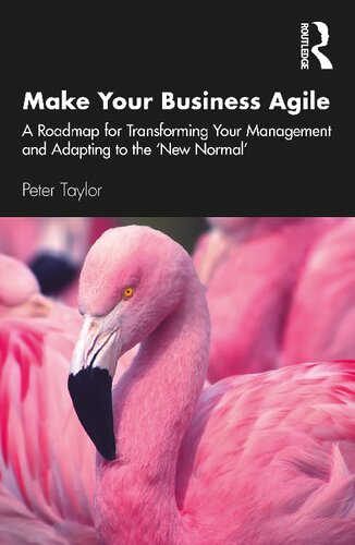 Make Your Business Agile 1st Peter Taylor