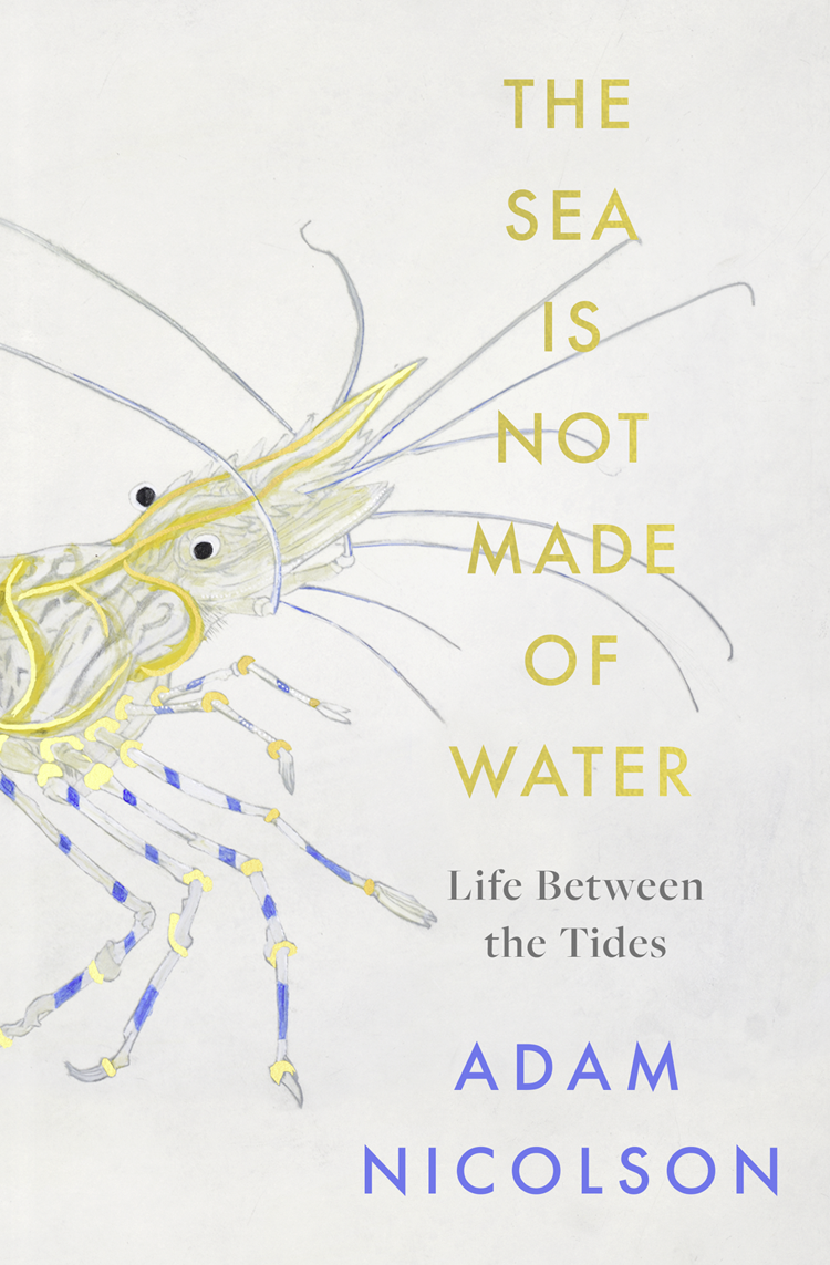 The Sea Is Not Made Of Water Adam Nicolson