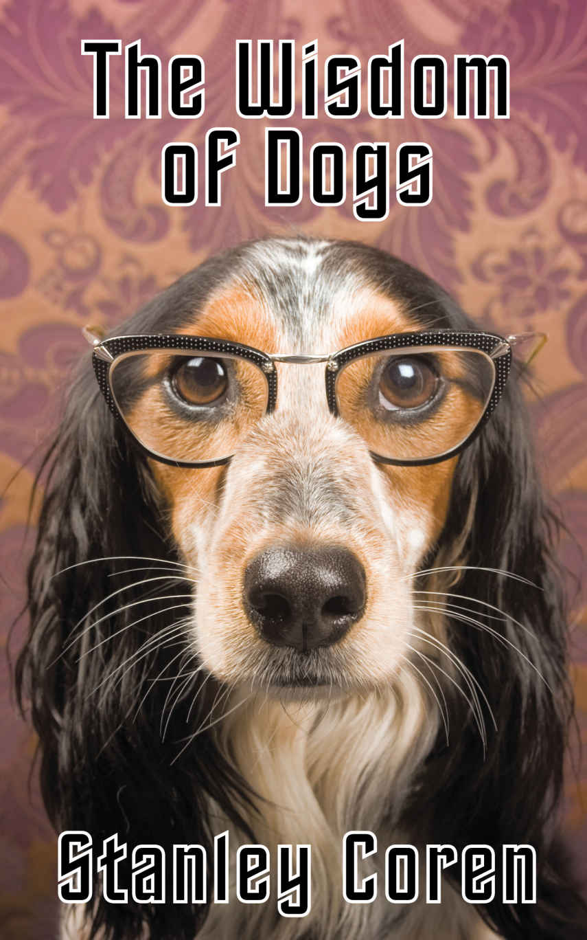 The Wisdom Of Dogs Stanley Coren Coren Stanley