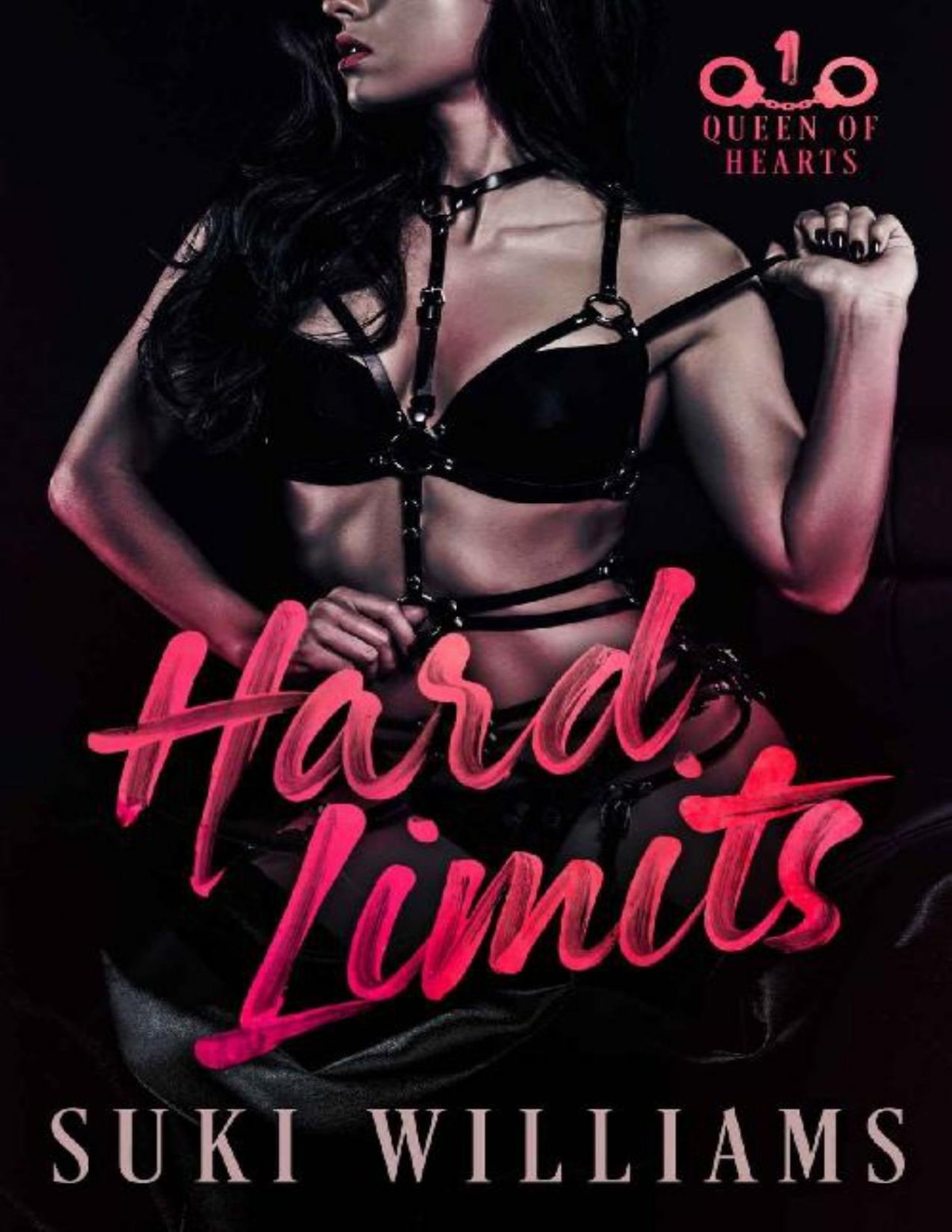 Hard Limits 1st Edition Suki Williams
