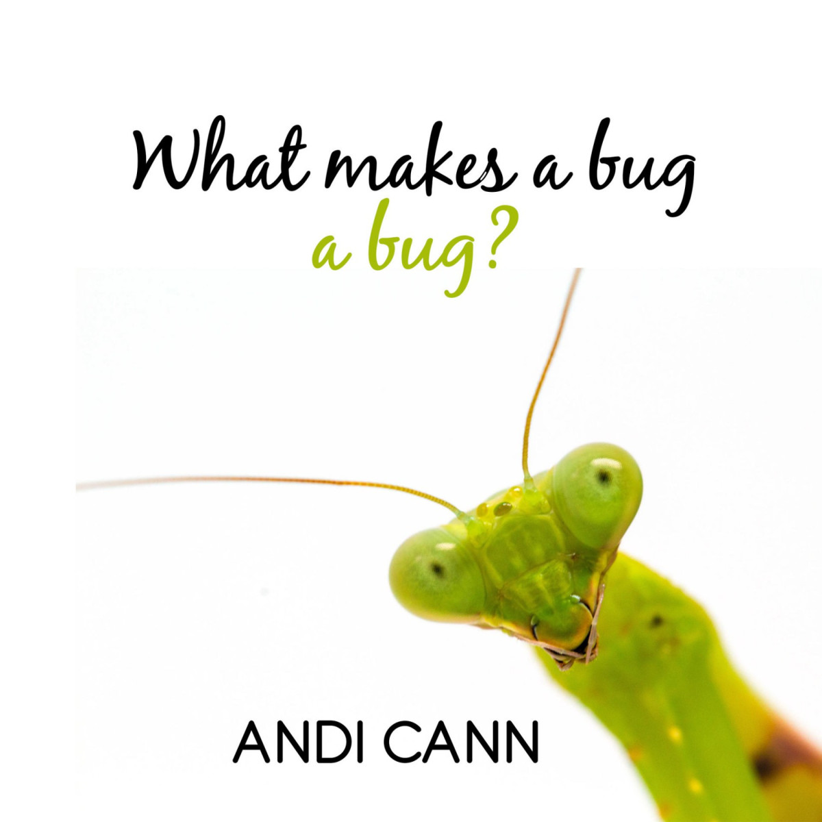 Animal Classes 02 What Makes A Bug A Bug Andi Cann