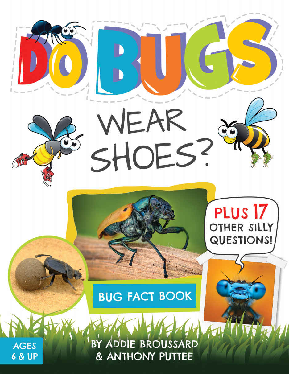 Do Bugs Wear Shoes And Other Silly Questions Addie Broussard Broussard