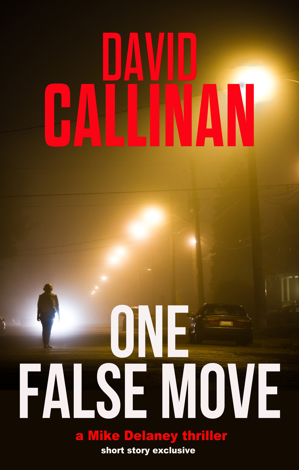 Mike Delaney Ss One False Move David Callinan