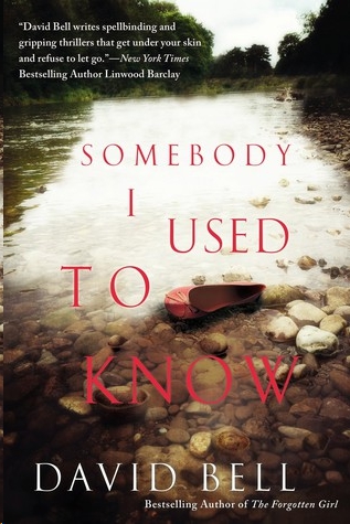 Somebody I Used To Know David Bell