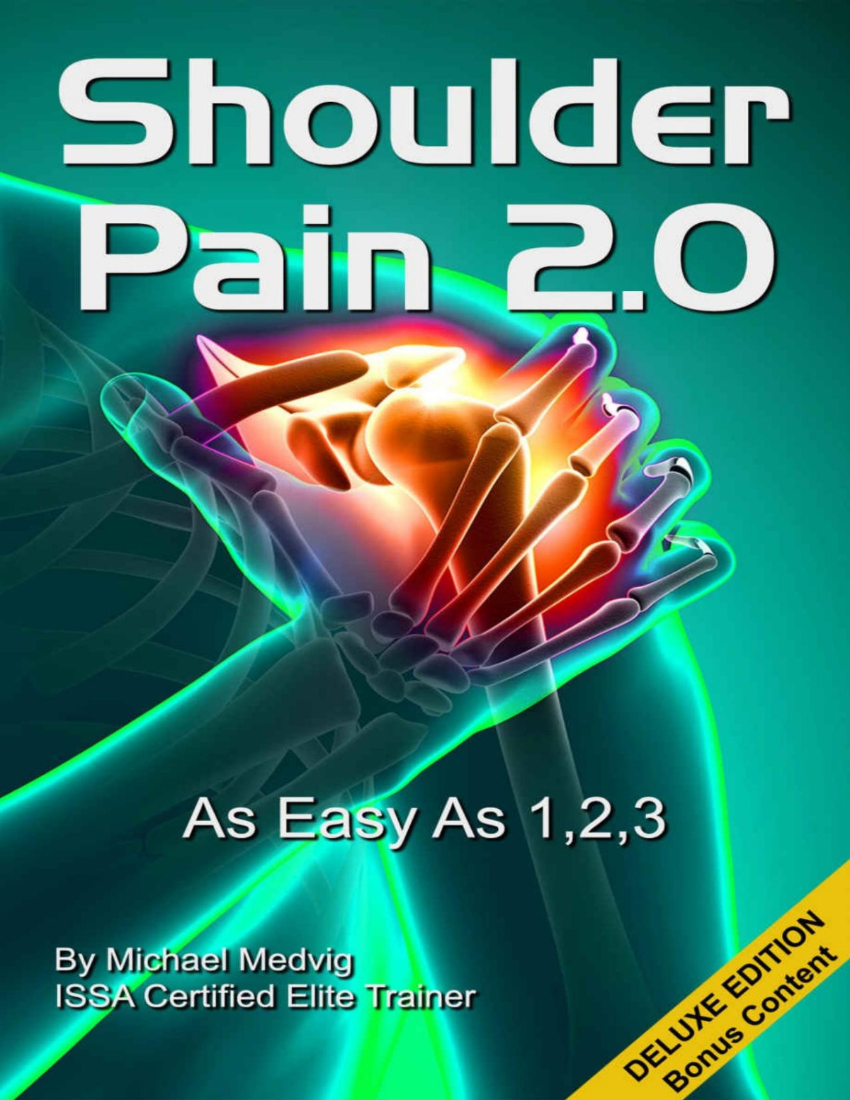 Shoulder Pain 20 Deluxe With Bonus Content As Easy As 123 This Pain Wont Fix Itself Michael Medvig Medvig
