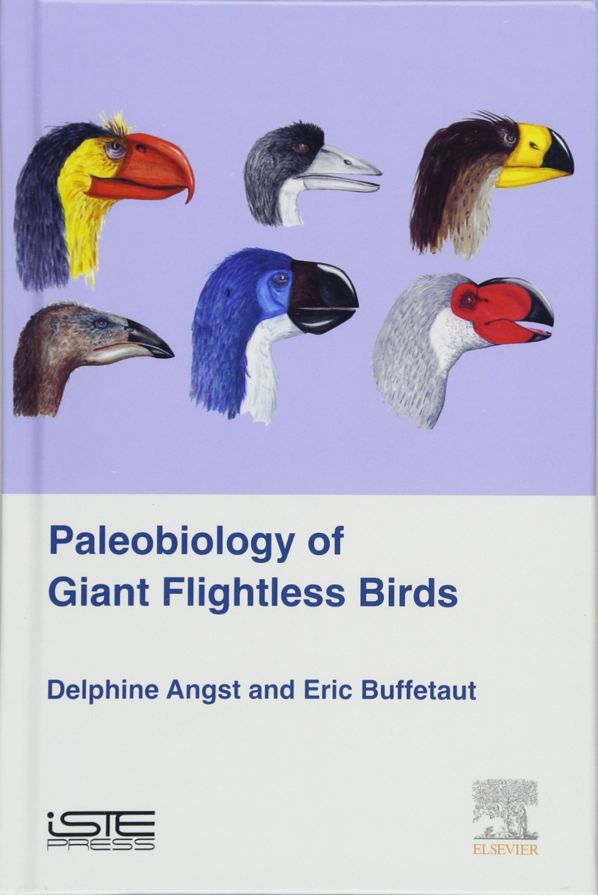 Palaeobiology Of Giant Flightless Birds 1st Edition Delphine Angst