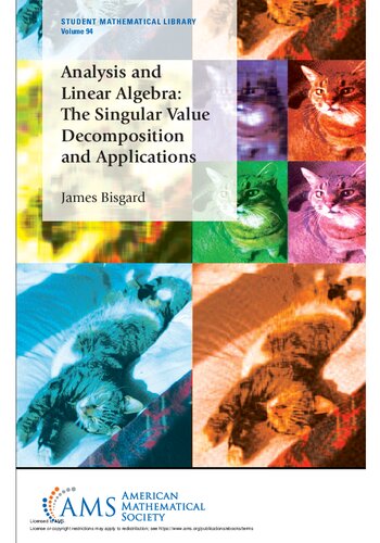 Analysis And Linear Algebra The Singular Value Decomposition And Applications James Bisgard