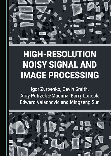 Highresolution Noisy Signal And Image Processing 1st Edition Igor Zurbenko